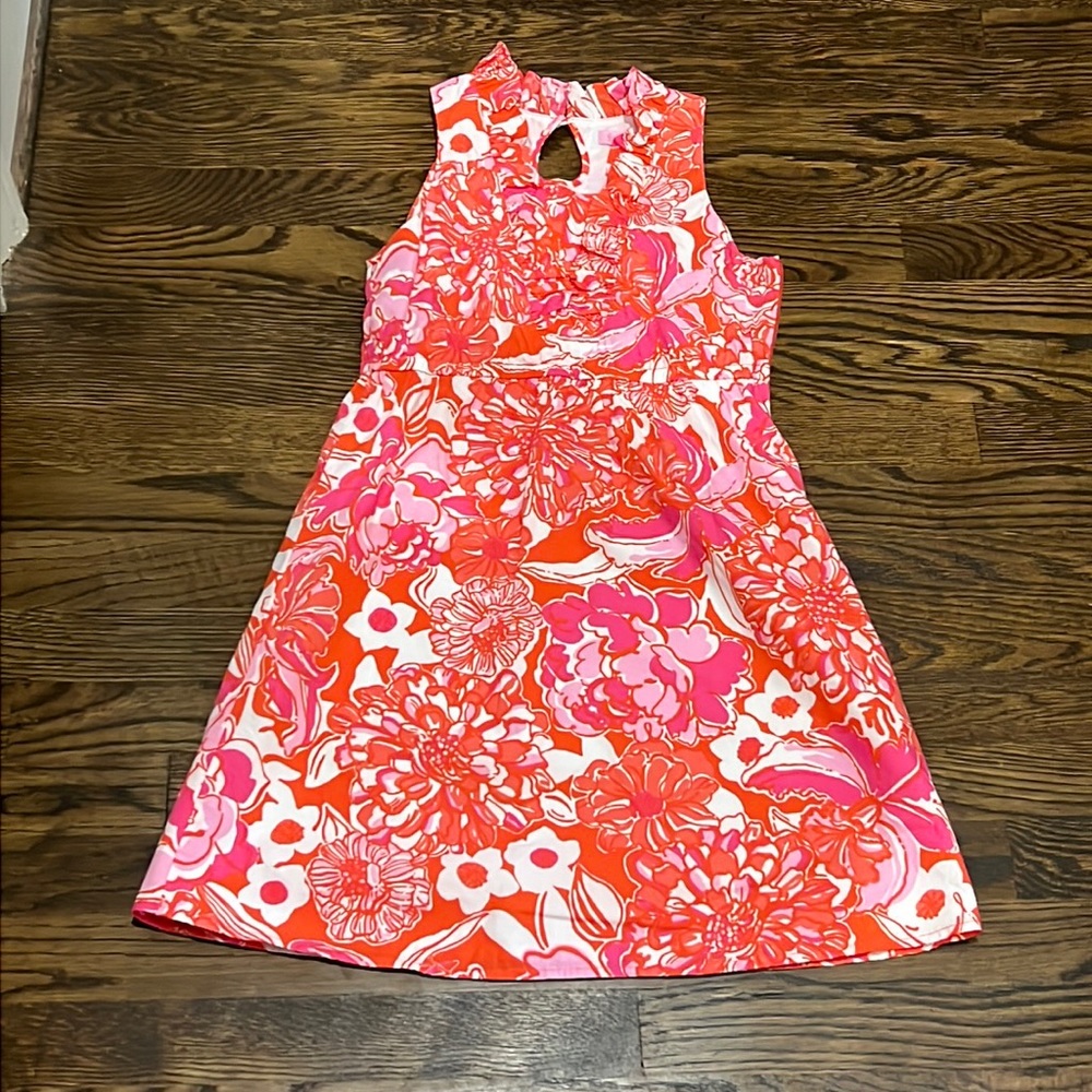Lily Pulitzer Beautiful Floral Dress - Picture 1 of 10